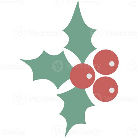 Christmas Mistletoe Berries And Leaves 11835854 Png