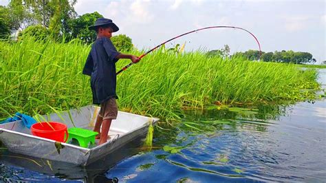 Hook Fishing Traditional Hook Fishing Mr Fishing Life Part 498