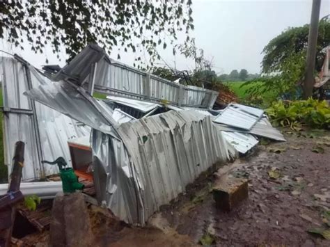 BPBD Sidoarjo Catat 1 Lansia Tewas Dan 226 Rumah Rusak Akibat Angin