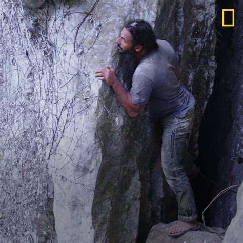 National Geographic Tv On Twitter Magnificent But Menacing The