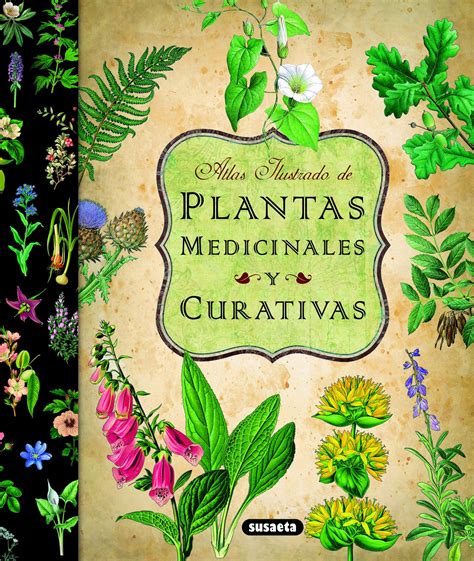 Atlas ilustrado de plantas medicinales y curativas (Spanish Edition ...