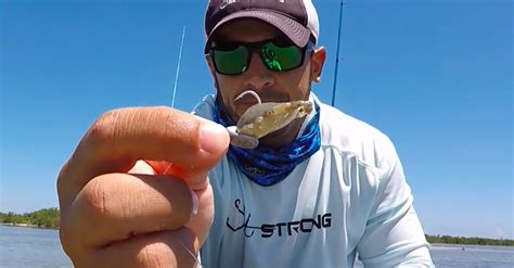 2 Ways To Rig Gulp Peeler Crabs For Redfish Black Drum