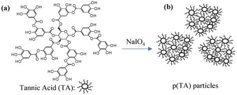 Molecules Free Full Text Self Crosslinked Ellipsoidal Poly Tannic