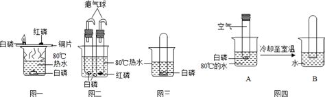 如图所示将充满co2的试管倒插入装有澄清石灰水的烧杯中一段时间后可能看不到的现象是 A．试管中co2减少b．试管中液面下降c．试管中