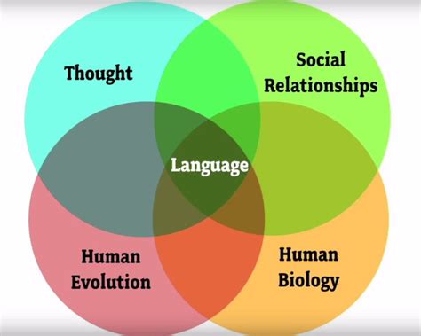 Harvard linguist points out the 58 most commonly misused words and phrases