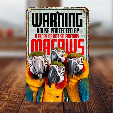 Funny Macaw Sign Rustic Macaw Warning Sign Group of Macaw Warning Sign - Etsy