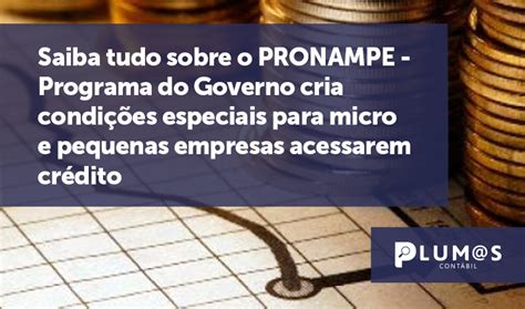 Saiba Tudo Sobre O Pronampe Programa Do Governo Cria Condi Es