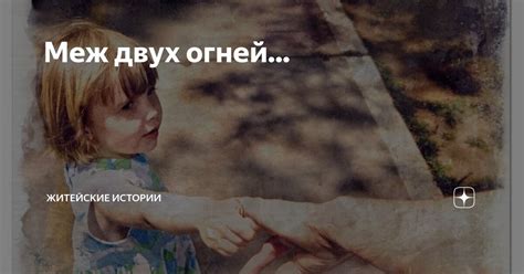 Меж двух огней... | Житейские истории | Дзен