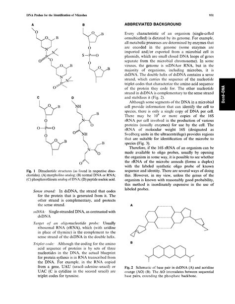 Dinucleotide Structures Big Chemical Encyclopedia