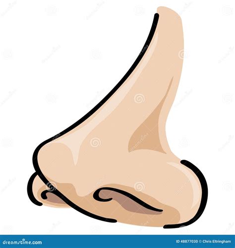 Nose Vector Cartoon stock vector. Illustration of background - 48877030