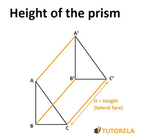 Height Definition