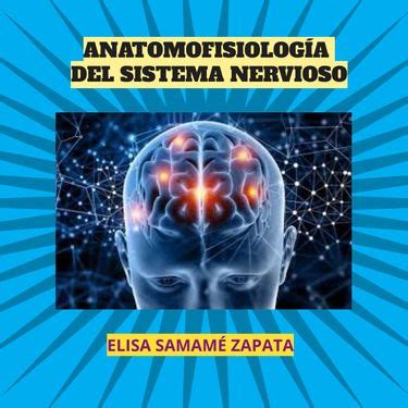 Book Creator ANATOMOFISIOLOGÍA DEL SISTEMA NERVIOSO