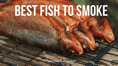 Best Fish To Smoke Top Smoking Choices For The Seafood Lover