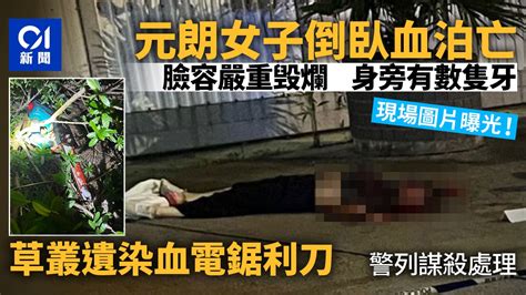 元朗電鋸謀殺｜現場圖片曝光！女子毀容倒血泊亡 草叢遺染血兇器 香港及世界新聞討論 香港討論區 Hk 香討