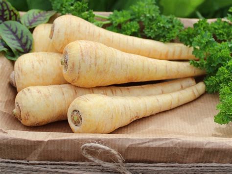 10 Best White Vegetables To Add To Your Diet Insanely Good