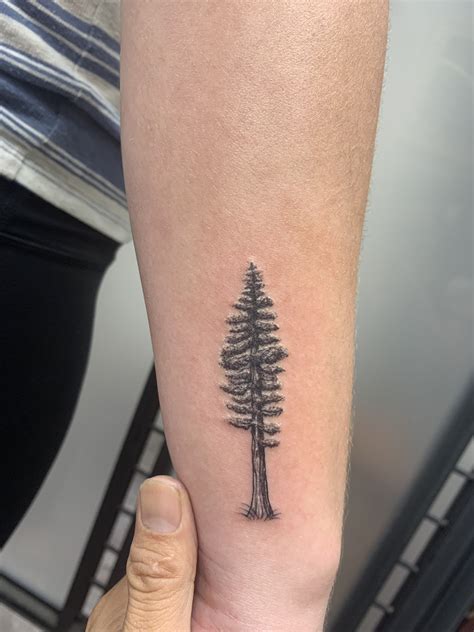 Redwood tree tattoo | Tree line tattoo, Mushroom tattoos, Tree tattoo designs