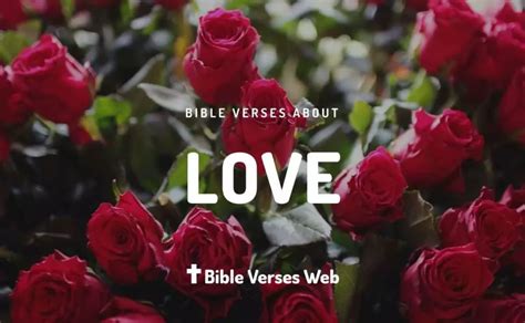 39 Bible Verses About Love King James Version (KJV)