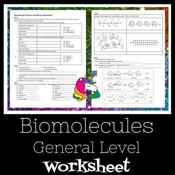 Macromolecules Worksheet Bundle by The Upcycled Unicorn | TPT