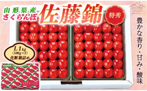 《先行予約》【山形の極み】さくらんぼ佐藤錦 1kg 化粧詰 F2y 5206 Tふるさと納税