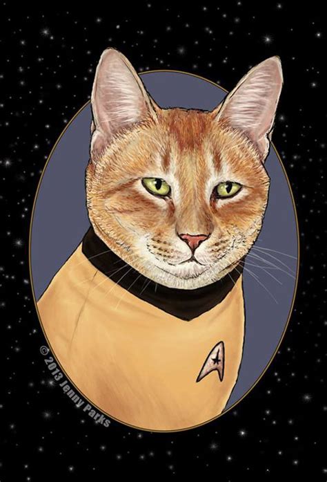 Star Trek Cats - Neatorama