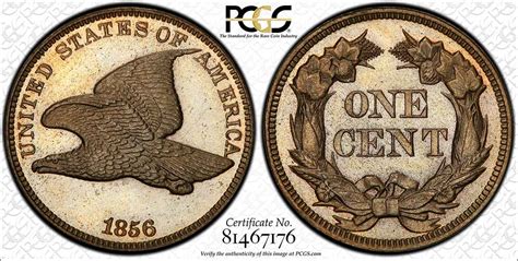 Collectors Corner Fabulous Flying Eagle And Indian Cent Exhibit To