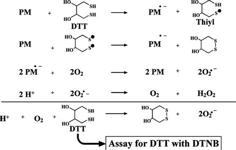 Chemical Basis Of The DTT Dithiothreitol Assay The DTT Assay