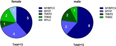 Frontiers Sex Related Differences In Protein Expression In Sarcomere