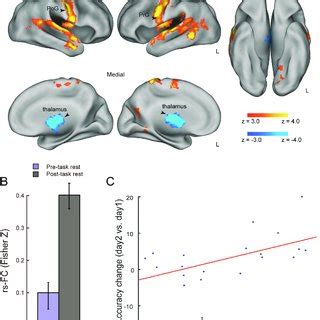 Task Related FMRI Activation A Positive And Negative Parametric