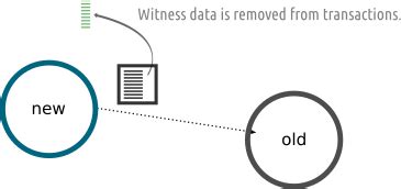 SegWit What Was The Segregated Witness Upgrade