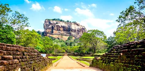 5 Nights 6 Days Sri Lanka Honeymoon Tour Package Regencyholidays