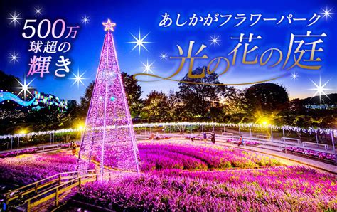 【新宿発】今年もはじまります♪幻想的なあしかがフラワーパーク500万球のイルミネーション「光の花の庭」＆宇都宮餃子®食べ歩き 格安ベストワンバスツアー