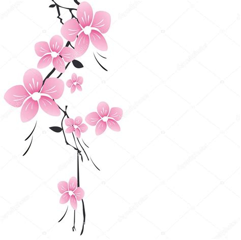 Wallpaper Bunga Sakura Putih - 80 Bunga Sakura Ideas Bunga Sakura Bunga ...