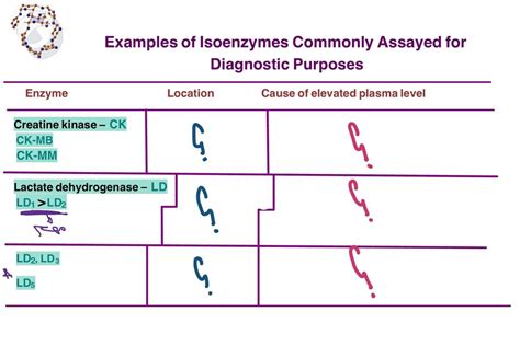 Bio Diagram Quizlet