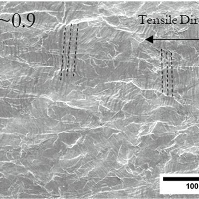 SEM Micrographs From The In Situ Investigation Of Microstructure