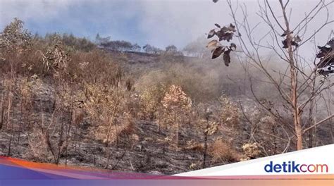 Kebakaran Di Gunung Sumbing Sudah Padam Pendakian Masih Ditutup