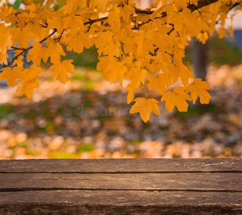 Table En Bois Marron Vide Pour La Maquette Photo Stock Image Du