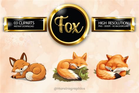 Fox Clipart Bundle 03 Variations Graphic By Hurairagraphics · Creative