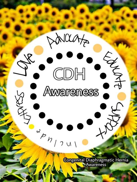 Pin By Cdh Stars Angels On Cdh Awareness Awareness