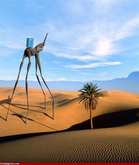 DALI DESERT Salvador Dali Art Dali Dali Art