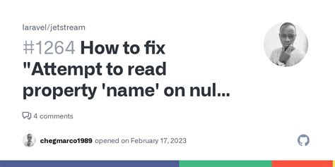 How To Fix Attempt To Read Property Name On Null Error After