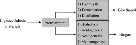 Pretreatment of lignocellulosic materials prior to bioethanol and ... 