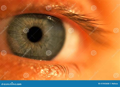 Een blauw oog stock foto. Image of ontruim, volwassen - 41943608