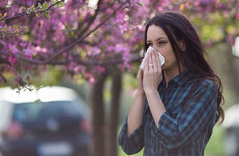 Consejos Para Aliviar Los S Ntomas De La Alergia Y Astenia Primaveral