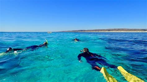 Ningaloo Reef Kayak Snorkel Tour Full Day Exmouth Adrenaline