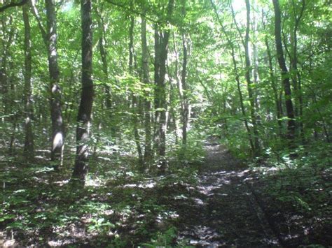 Rusniv