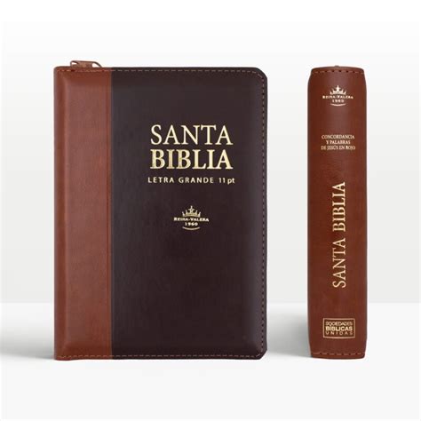 Biblia RVR1960 Mediana Letra Grande 11 Puntos Bicolor Casa De La