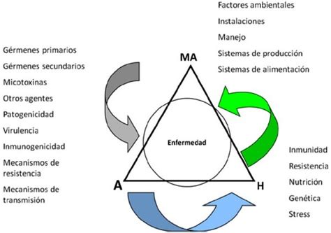 Biologia Triada Epidemiologica