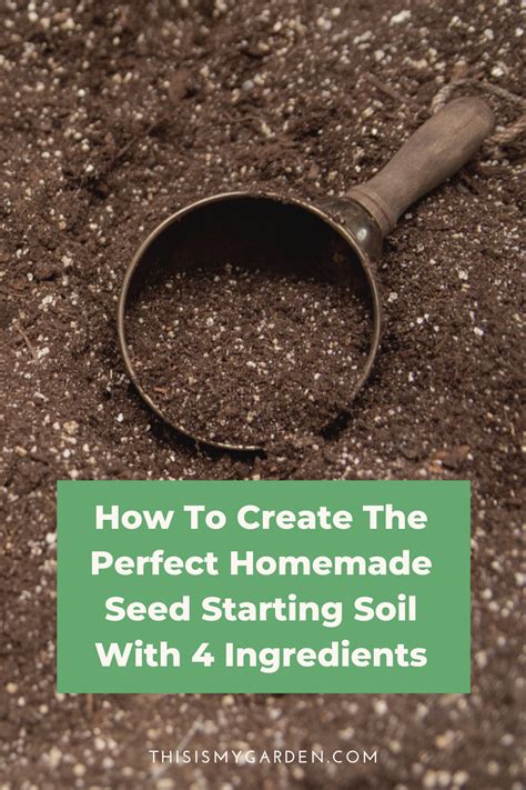 Create Amazing Seed Starting Soil with 4 Ingredients!