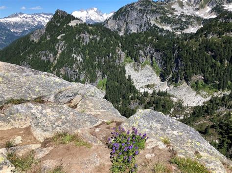 Sulphur Mountain — Washington Trails Association