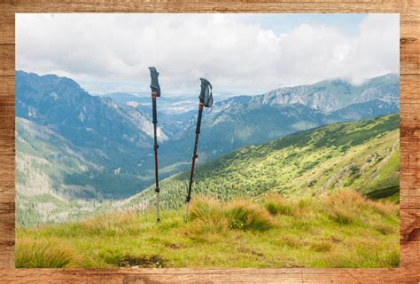 The 5 Best Trekking Poles: How to Choose your Perfect Hiking Partner! - thejamesguide.com